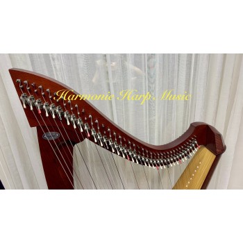 2nd Hand Salvi Titan 38 Strings Lever Harp 2nd Hand Salvi Titan 38 Strings Lever Harp